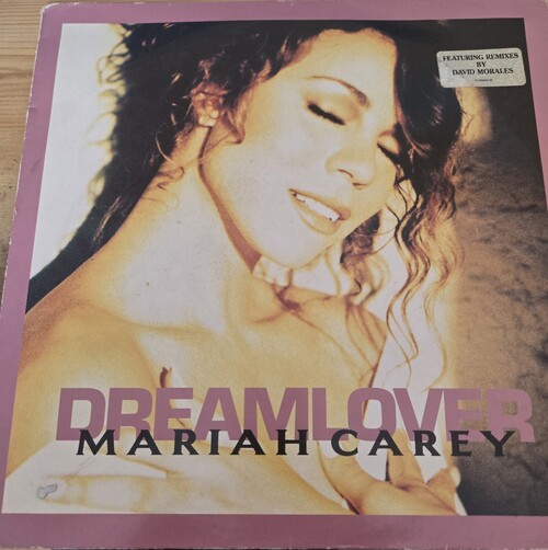 J'ai sauvé mon vinyle de Dreamlover